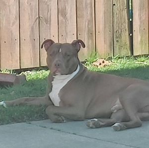 Meet your Posher, Steve